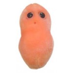 Peluche Microbe - Bouton Acne